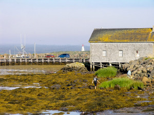 Searching for 'sea glass' on Brier Island. See more content on our Nova Scotia Travel Blog.