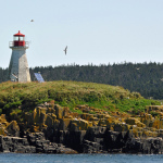 Peter's Island Lighthouse can be easily viewed from Brier Island, Nova Scotia. The light is one of several lighthouses in Nova Scotia in dire need of repair and restoration.