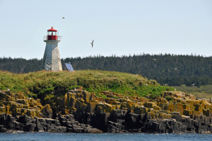 Peter's Island Lighthouse can be easily viewed from Brier Island, Nova Scotia. The light is one of several lighthouses in Nova Scotia in dire need of repair and restoration.