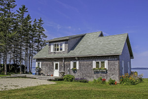 The backyard view of our Cape Cod Cottage.