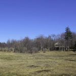 Early spring at The Point, one of the few times of the year the cottage is actually visible from the shoreline.